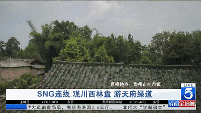 外l成都外围伴游招聘(高端外围伴游招聘一单一结)
